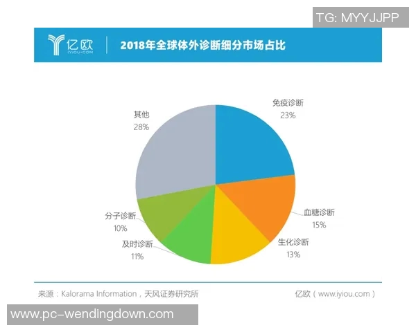 pg网赌软件下载问鼎-揭秘PG网赌软件下载，挑战与风险共存的问鼎之路-pg网赌软件下载问鼎